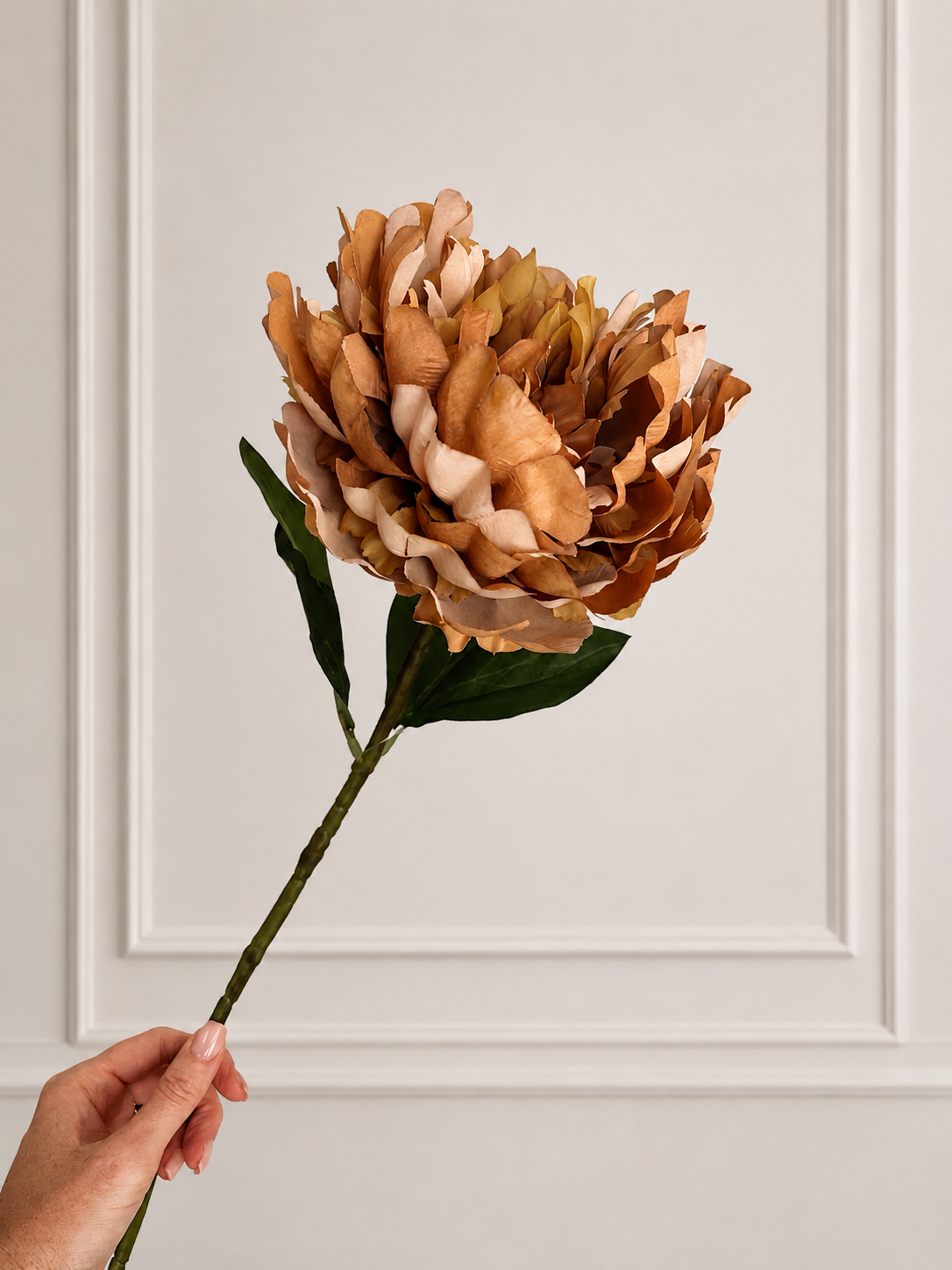 PEONY - warm brown