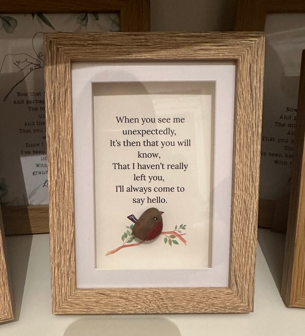Robin Pebble Come To Say Hello Box Frame