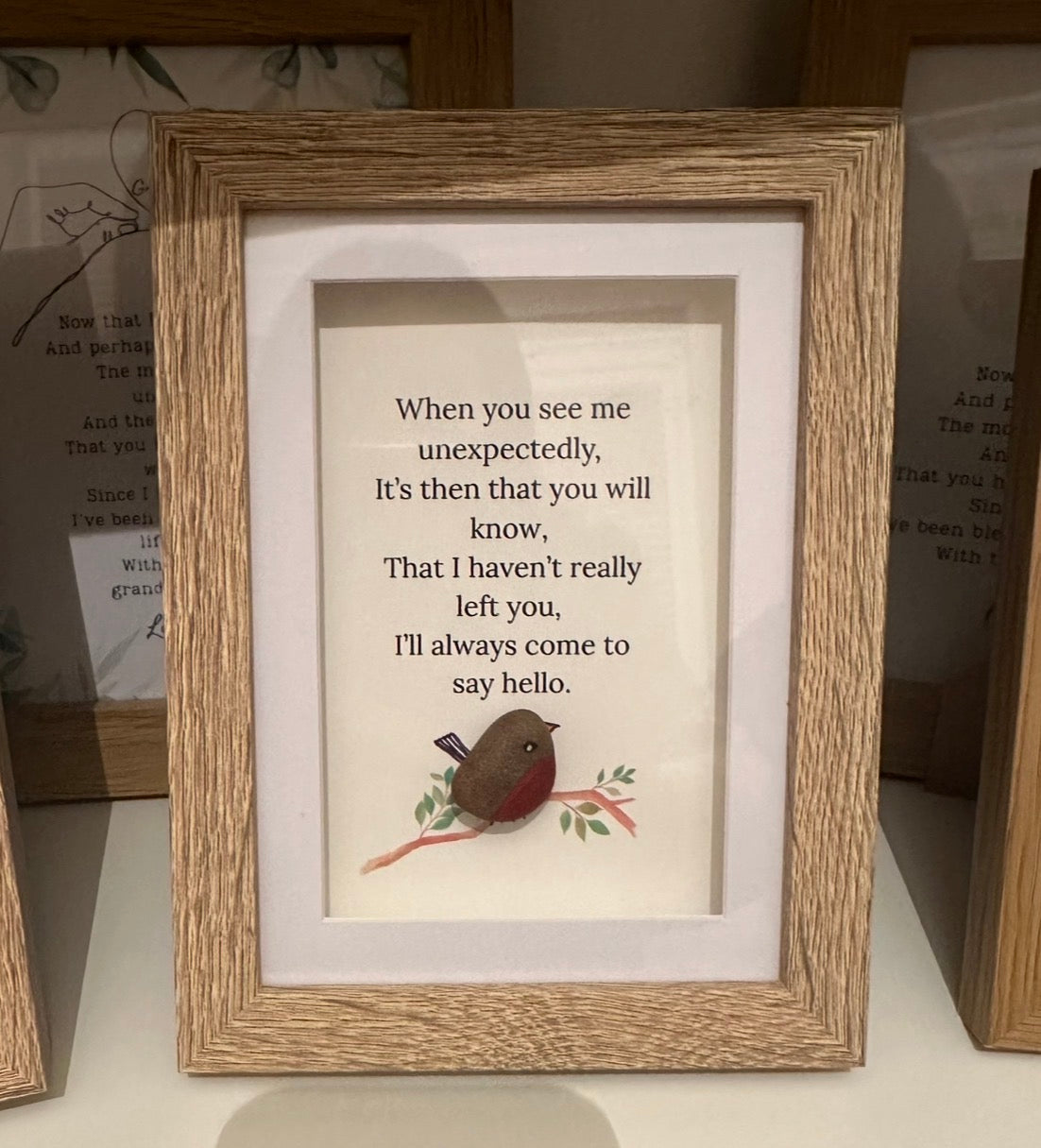 Robin Pebble Come To Say Hello Box Frame