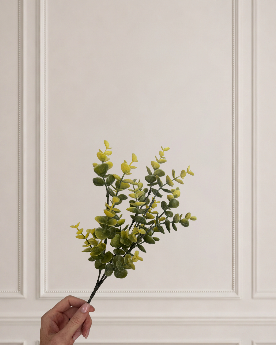 FLOCKED EUCALYPTUS
BUSH