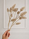 BUNNY GRASS - beige