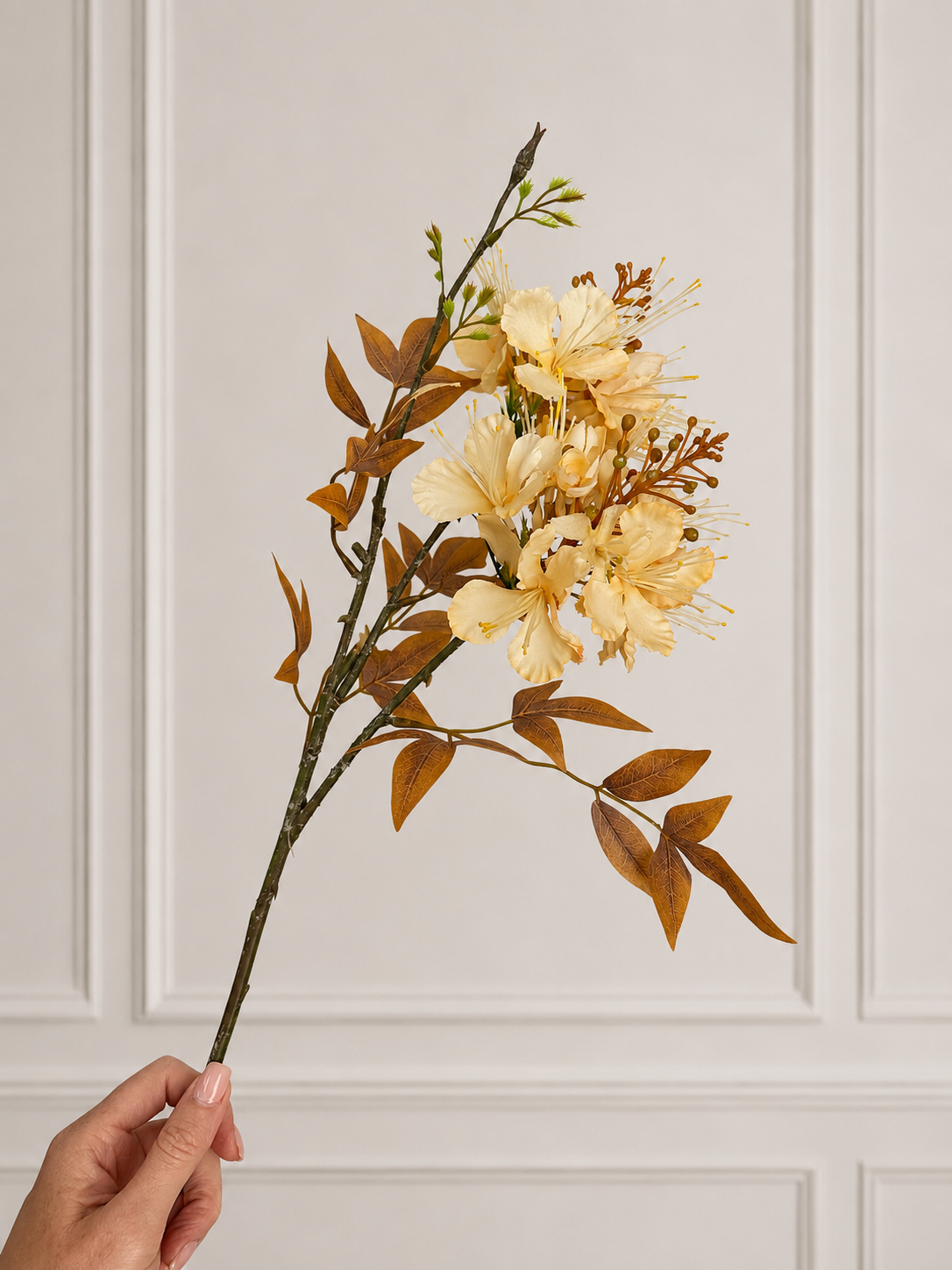 LILY - cream