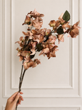 BOUGAINVILLEA - mauve