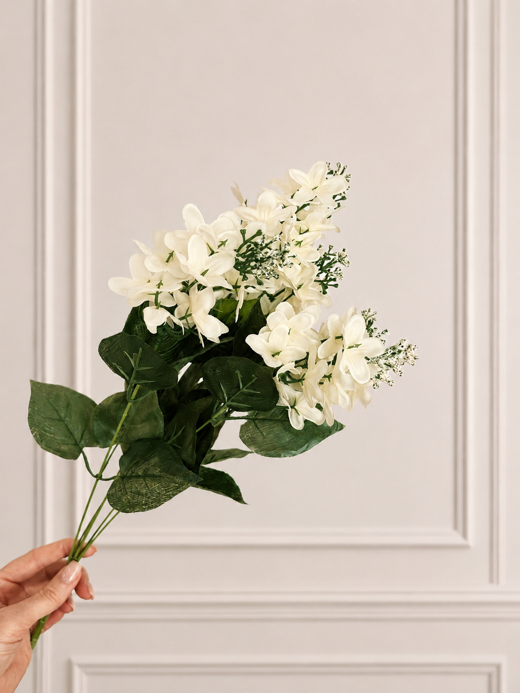 LILAC BUSH - cream