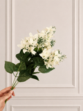 LILAC BUSH - cream