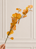 AUTUMN EUCALYPTUS