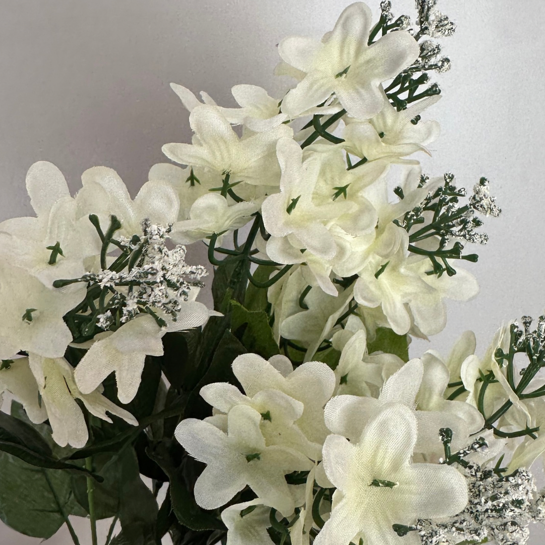 LILAC BUSH - cream