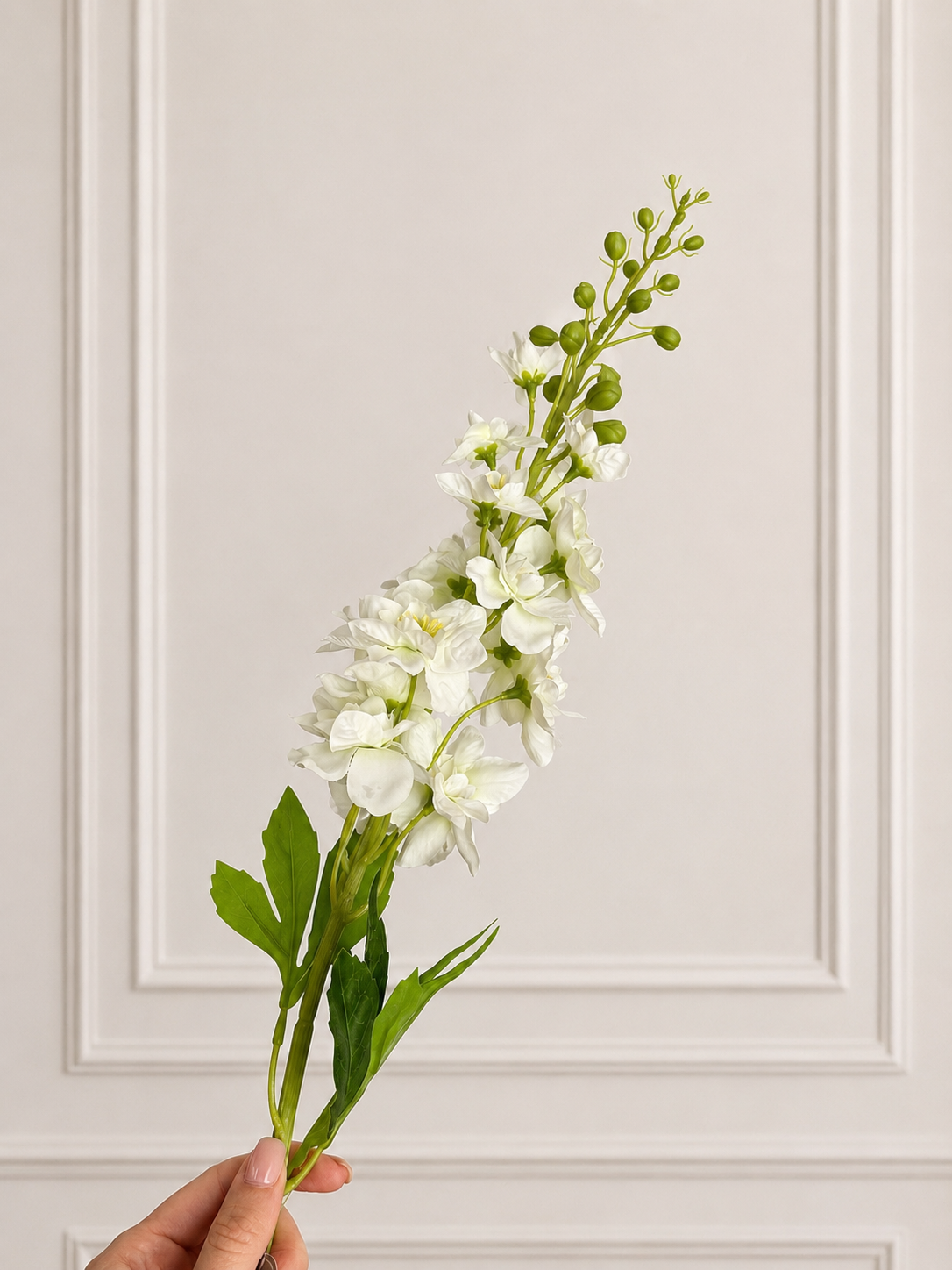 DELPHINIUM - ivory