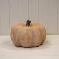 Pale Orange Large Ceramic Pumpkin Ornament