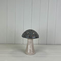 Ceramic Mushroom