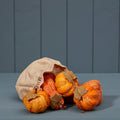Bag of Six Pumpkins