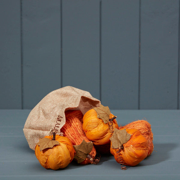 Bag of Six Pumpkins