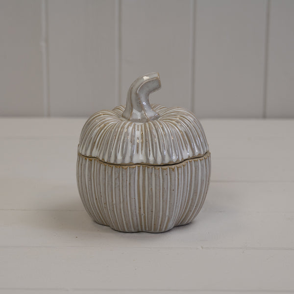 Ceramic Pumpkin Pot
