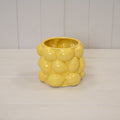 Zesty Lemon 3D Pot.