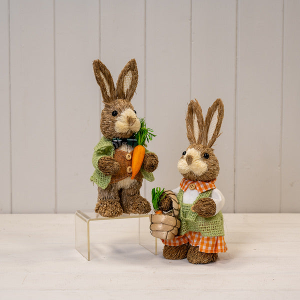 Mrs Rabbit TD9x9cm