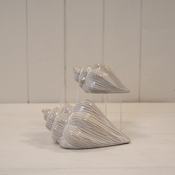 Glazed Ceramic Shell Ornament with Textured Detail