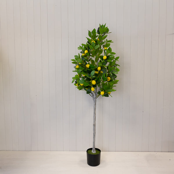 Artificial Lemon Tree