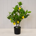 Artificial Lemon Tree