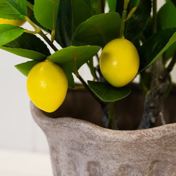 Artificial Lemon Tree
