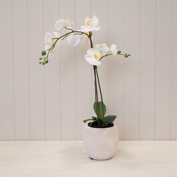White Textured Stone Plant Pot