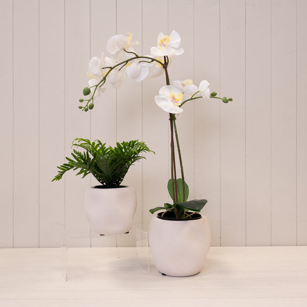 White Textured Stone Plant Pot