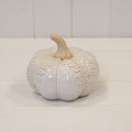 Large Natural Glazed Pumpkin with Oversized Leaves
