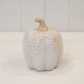 Large Natural Glazed Taller Pumpkin with Oversized Leaves