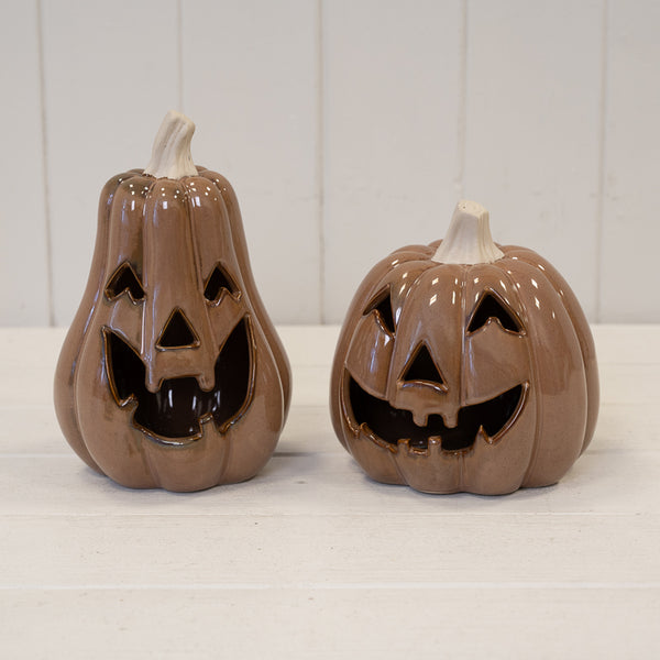 Chocolate Brown Pumpkin