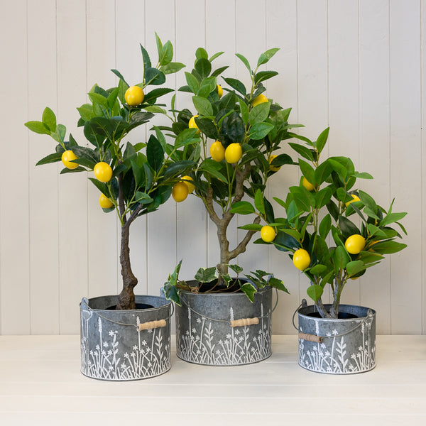 Meadow Design Buckets Set of 3