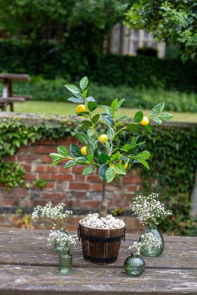 Artificial Lemon Tree