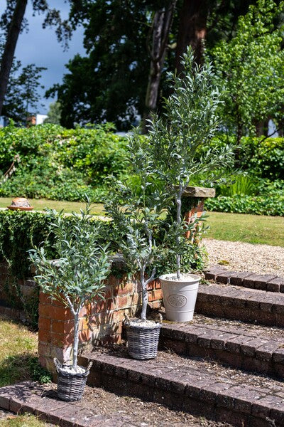 Artificial Olive Tree