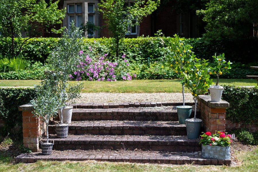Artificial Olive Tree
